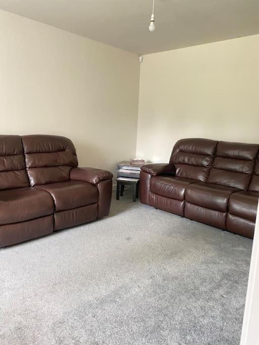 4-Room Detached Furnished Home With Parking Leicester Exteriör bild
